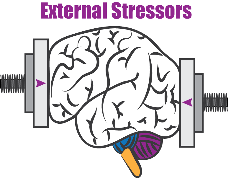 External Stressors