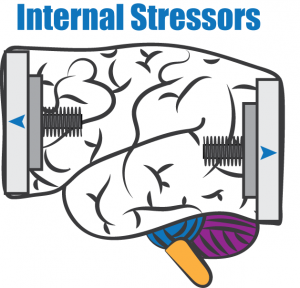Internal Stressors